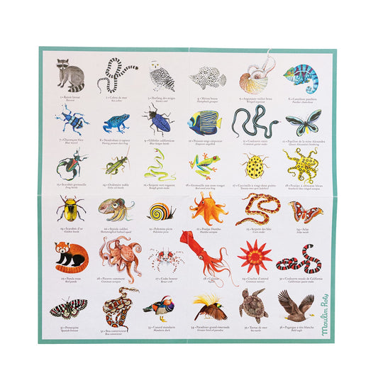 Joc de memorie, Găsește animalele, 36 piese de carton, Moulin Roty