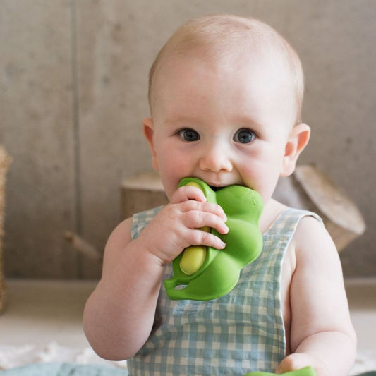 Jucărie dentiție, cauciuc natural, Edamame Keiko, Oli&Carol