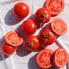 Jucărie dentiție, cauciuc natural, Roșia Renato, Oli&Carol