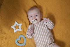 BIBS- Jucarie de dentitie in forma de steluta, Blush